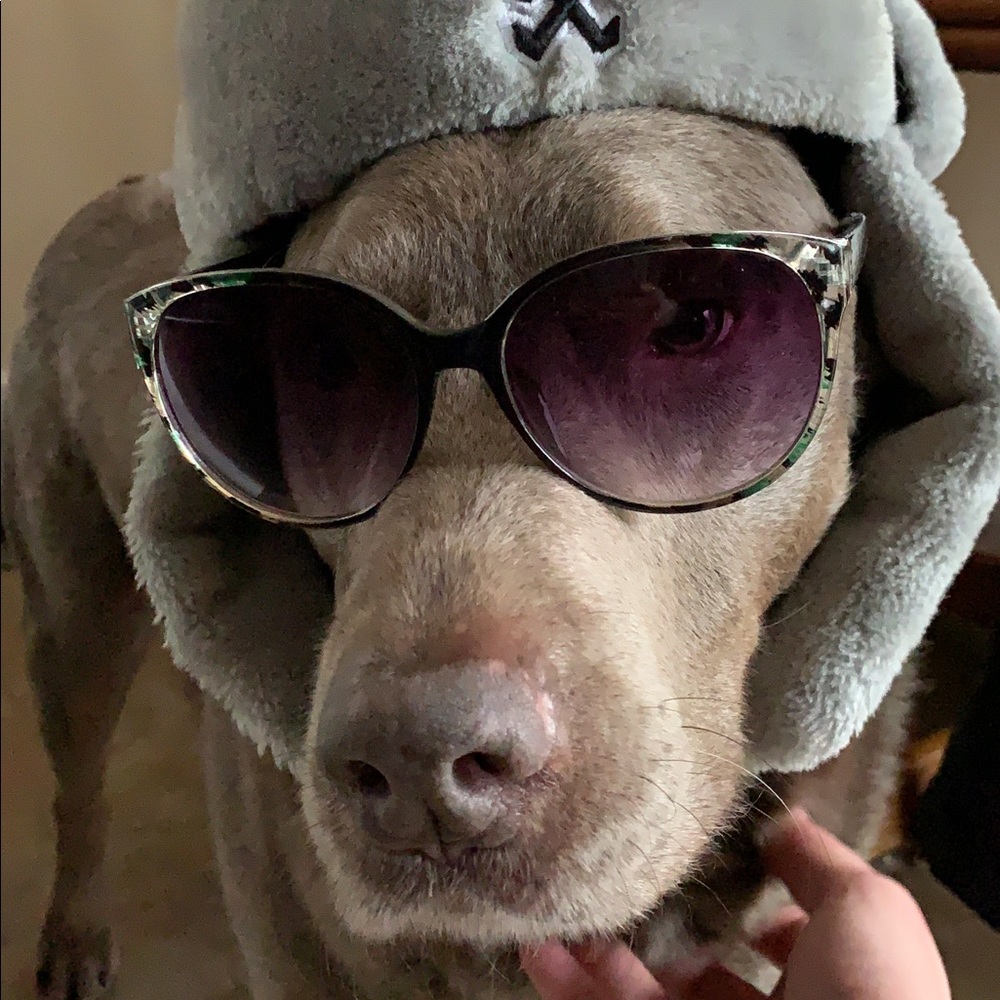 Meet your Posher, Lindsay